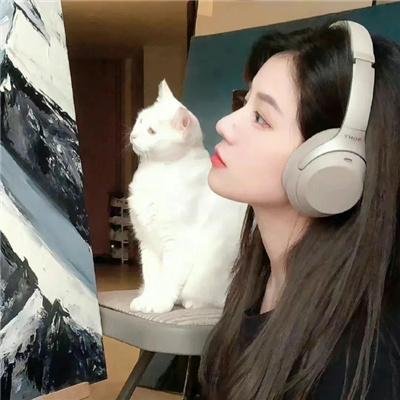 哈啦猛男秀
