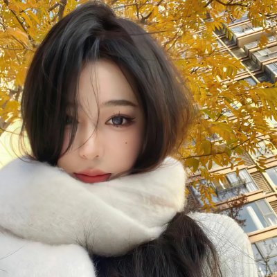 石纪元第一季
